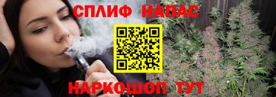 мяу мяу мука Нальчик