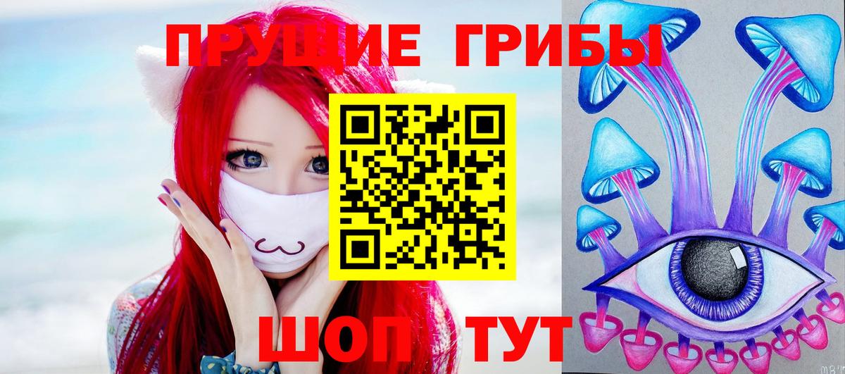 Торжок  Псилоцибиновые грибы Magic Shrooms  Вход с VPN 